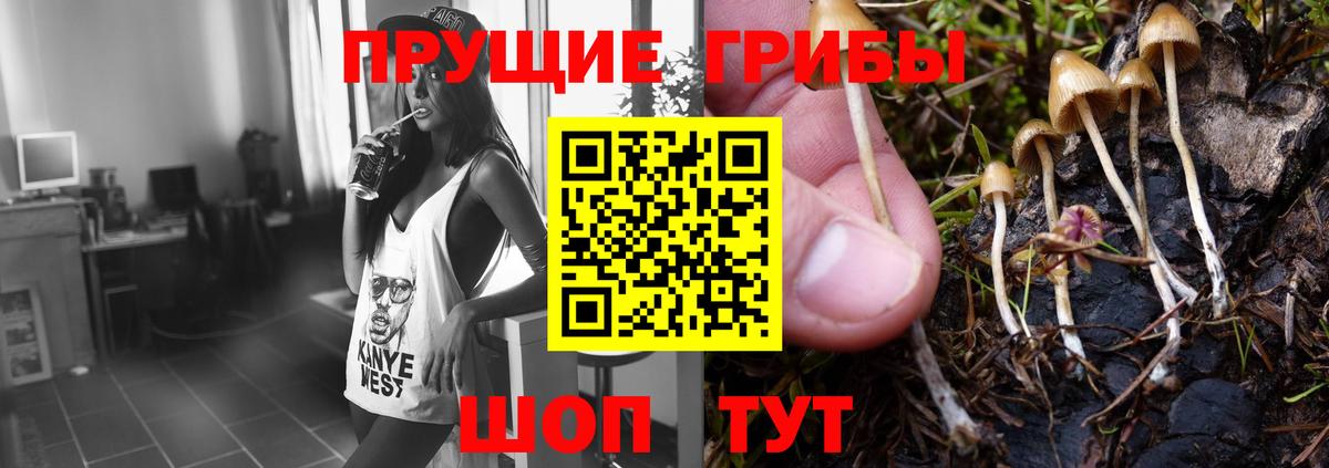 Галлюциногенные грибы GOLDEN TEACHER  Вход с VPN  Рузаевка 